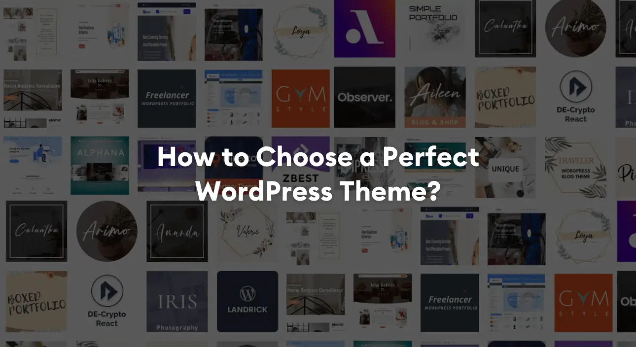 How to Choose a Perfect WordPress Theme?